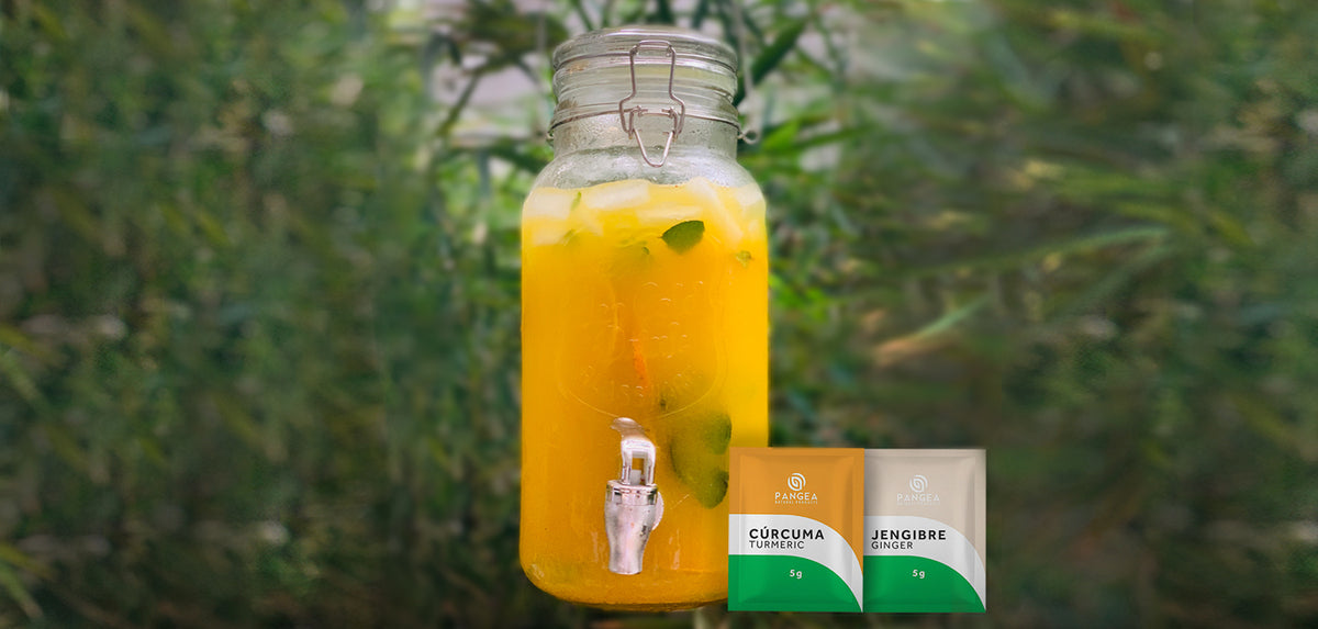 Receta jugo de bienestar PANGEA