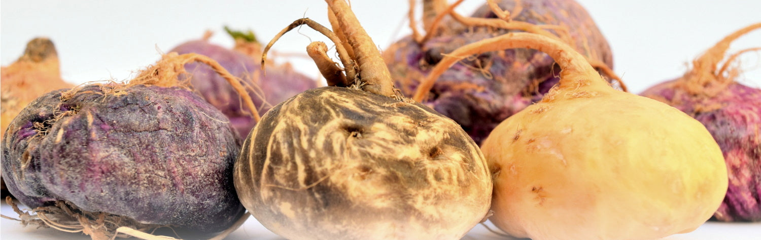 Maca