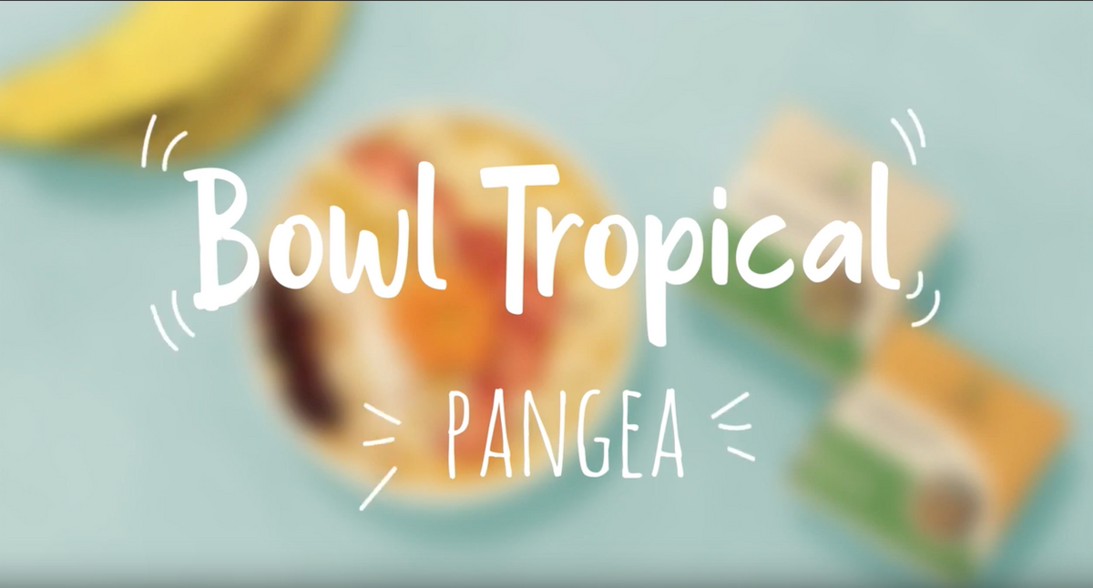 Bow tropical Pangea