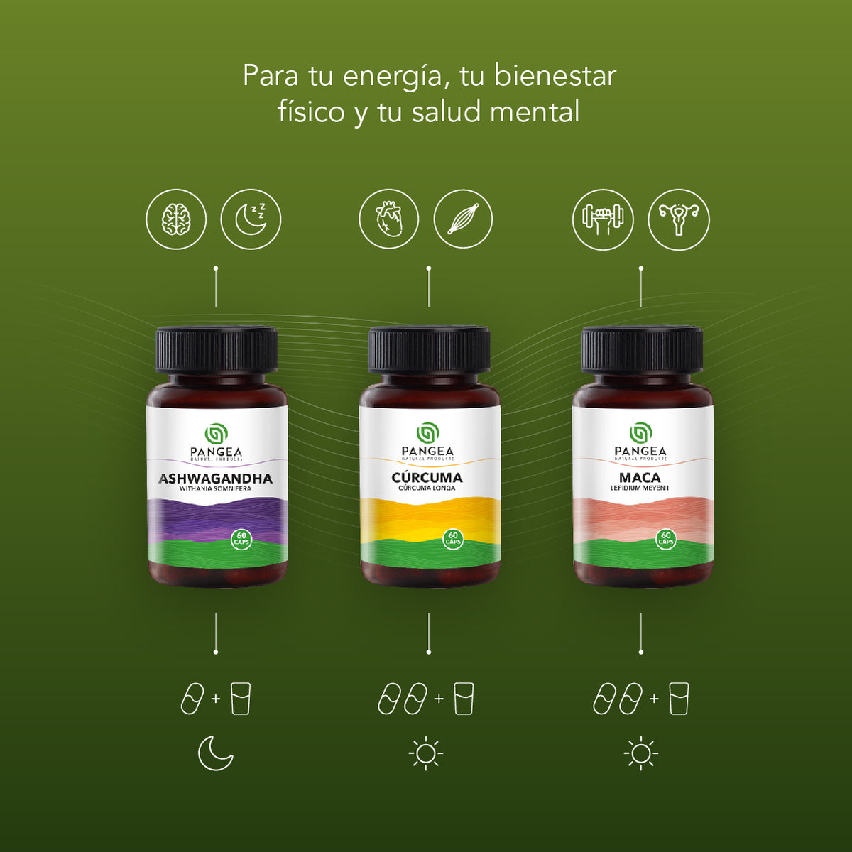 Combo Cuídate | Ashwagandha, Cúrcuma y Maca