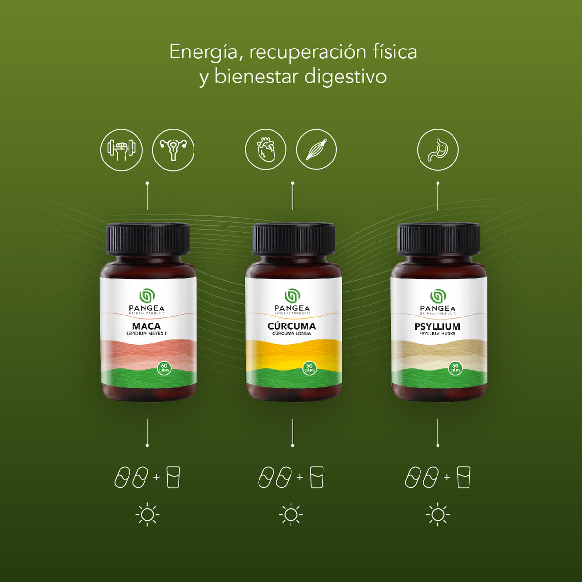 Combo Vitalidad | Maca, Cúrcuma y Psyllium