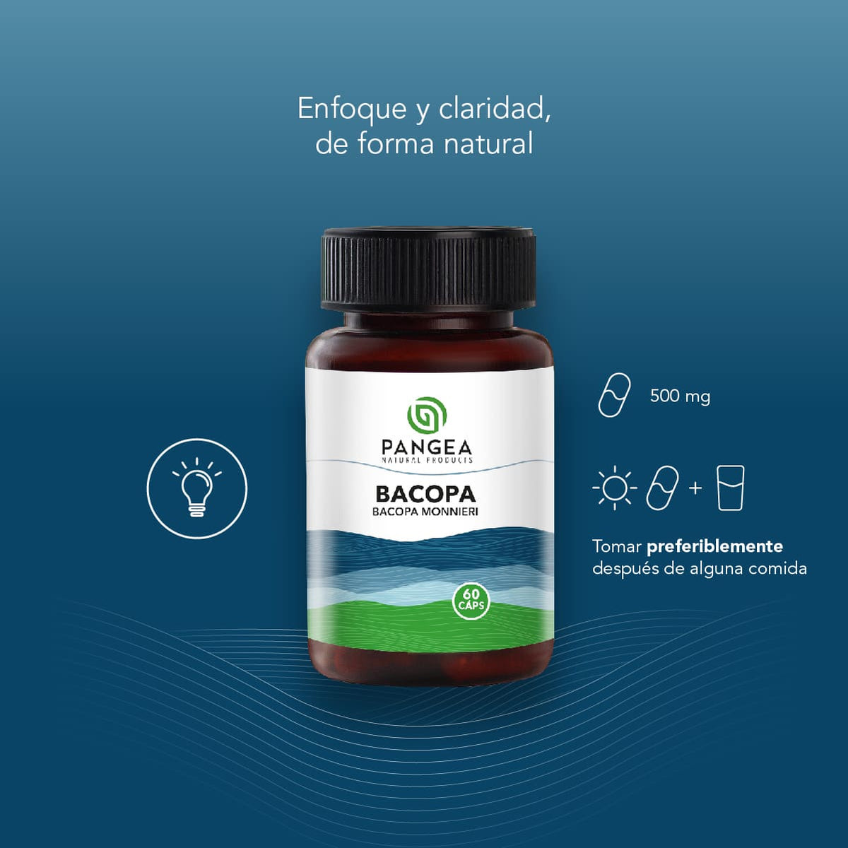 Bacopa en Cápsulas