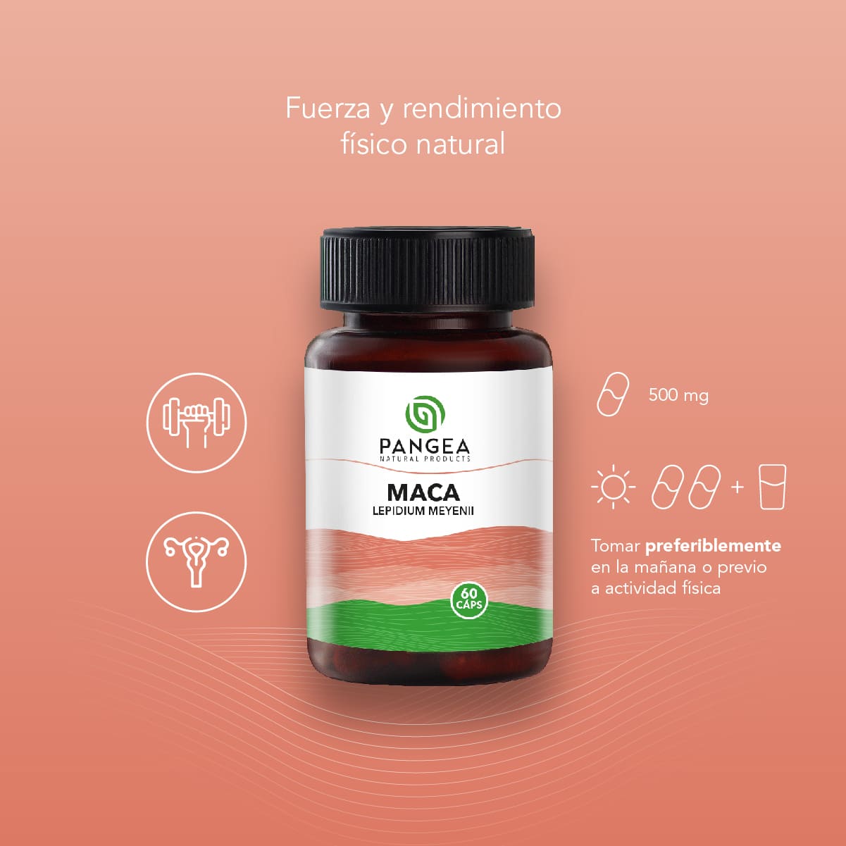 Maca en Cápsulas
