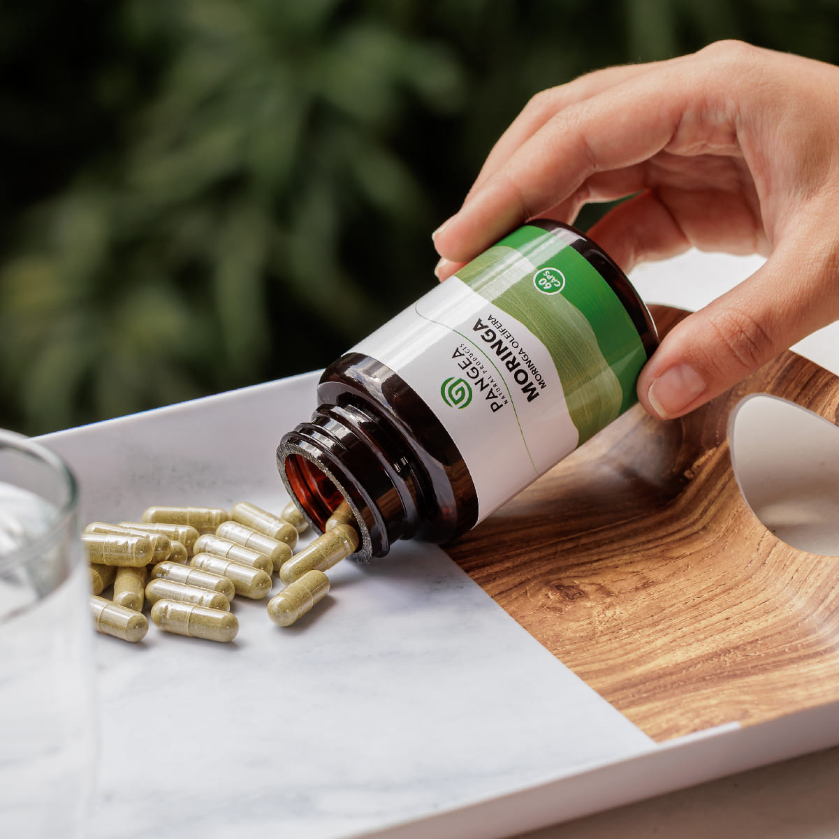 Moringa en Cápsulas