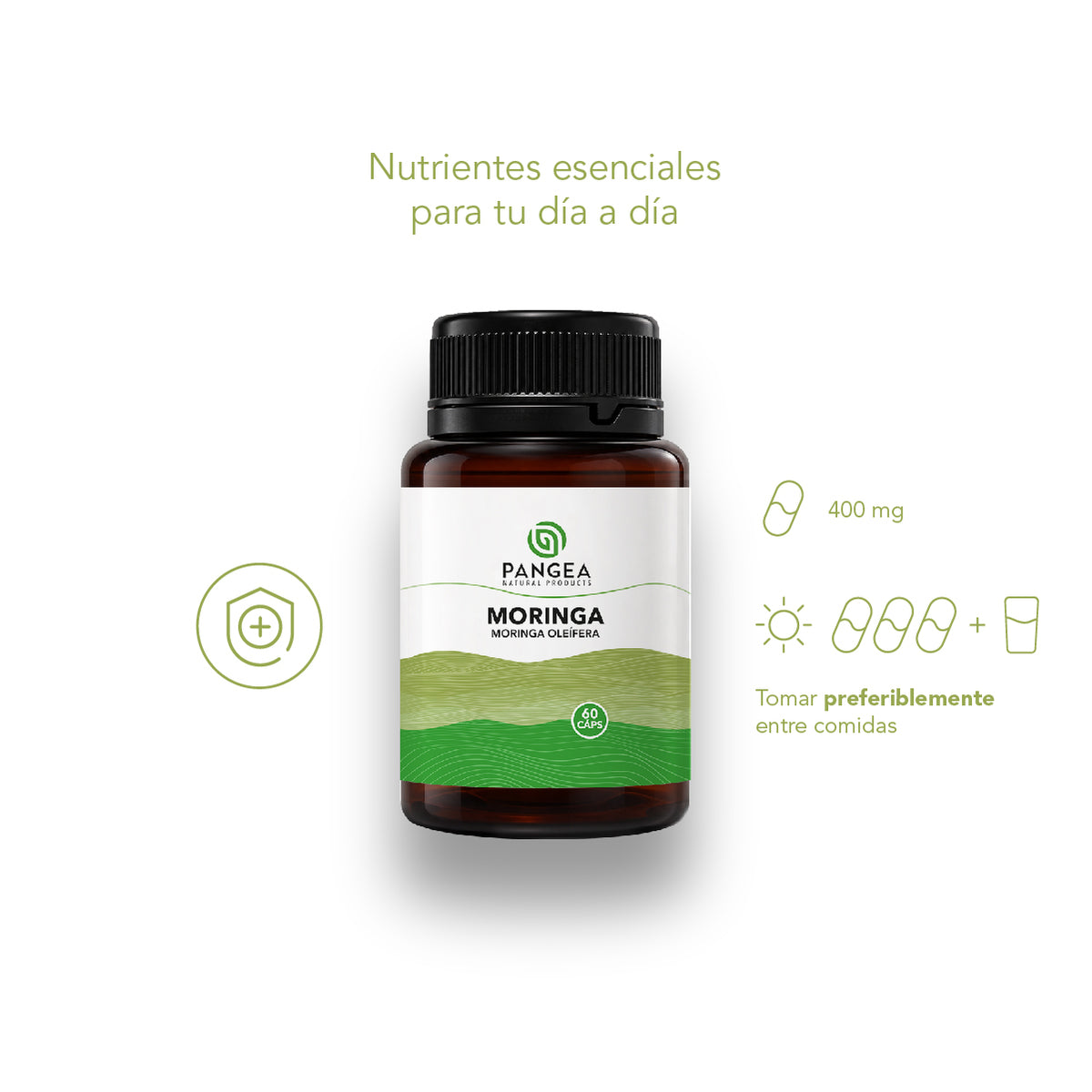 Moringa en Cápsulas