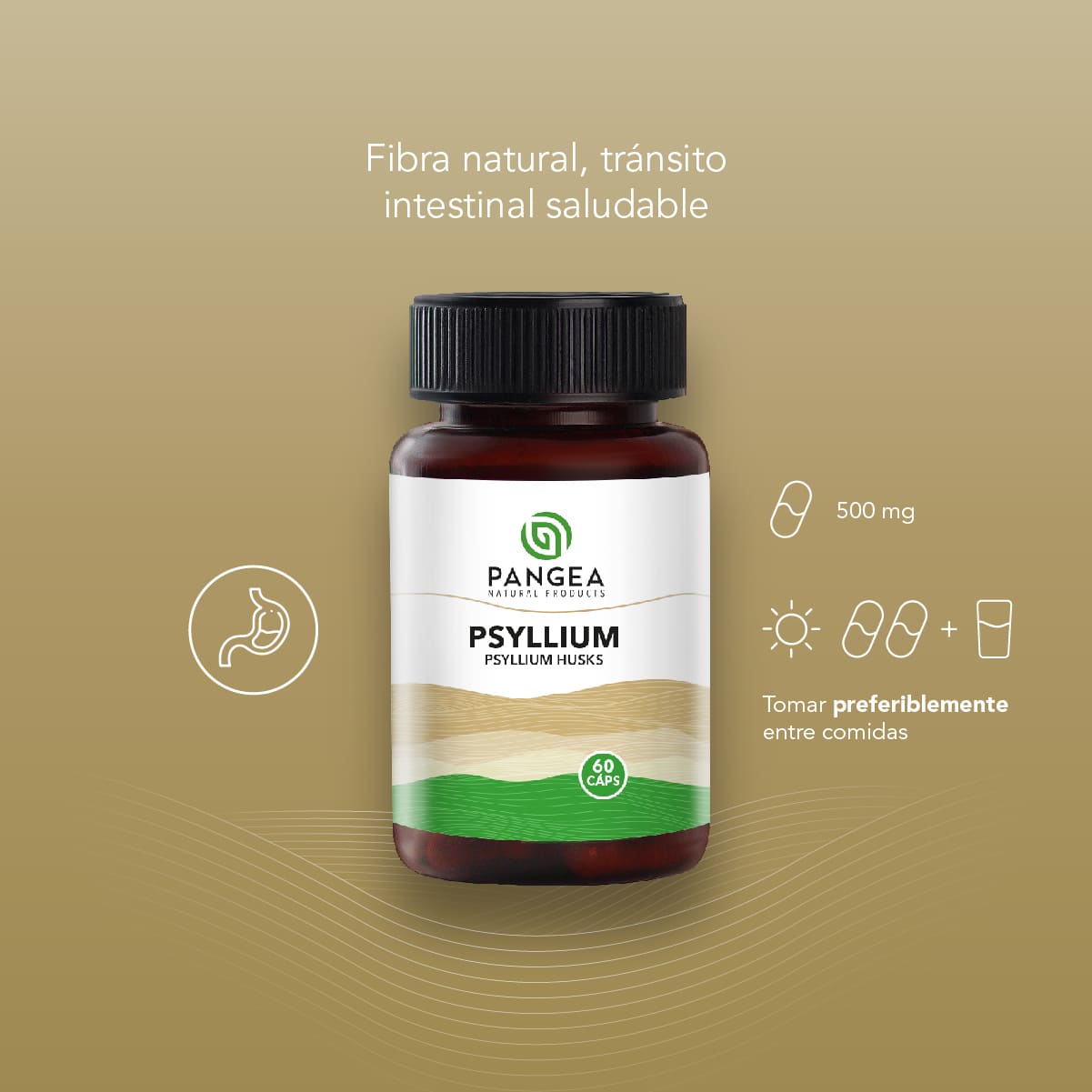 Psyllium en Cápsulas