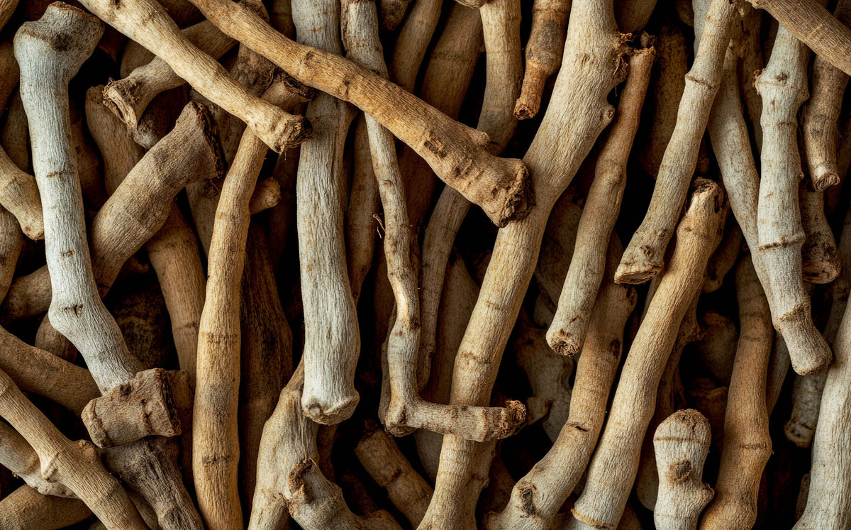 ¿D1 o D3 en la Ashwagandha? Qué significan realmente y cuál puede ser más efectiva
