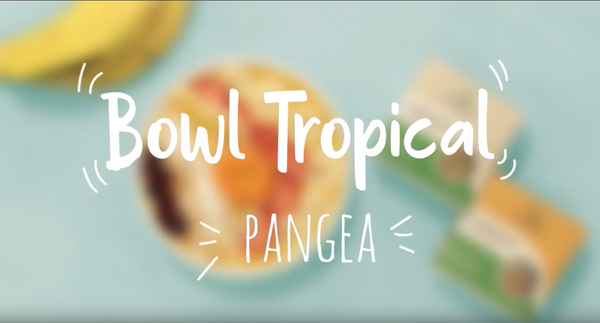 Bow tropical Pangea