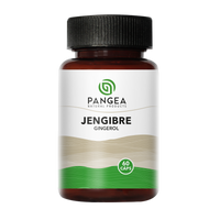 Jengibre