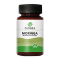 Moringa