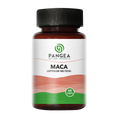 Maca