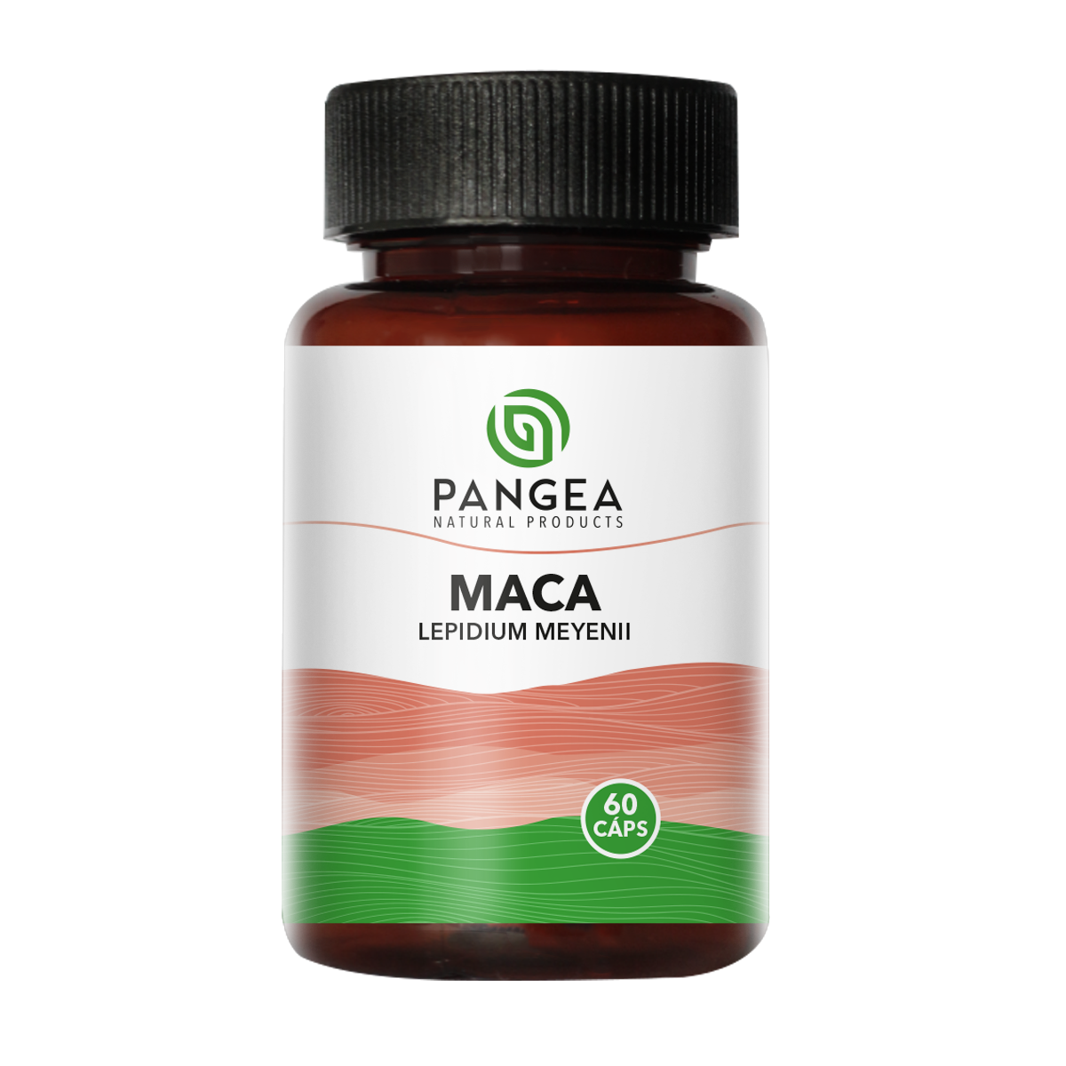 Maca
