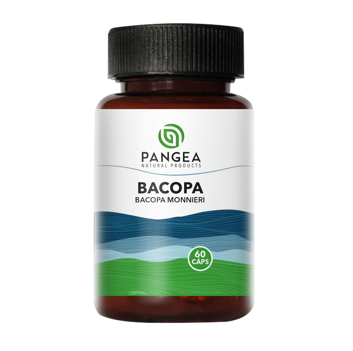 Bacopa
