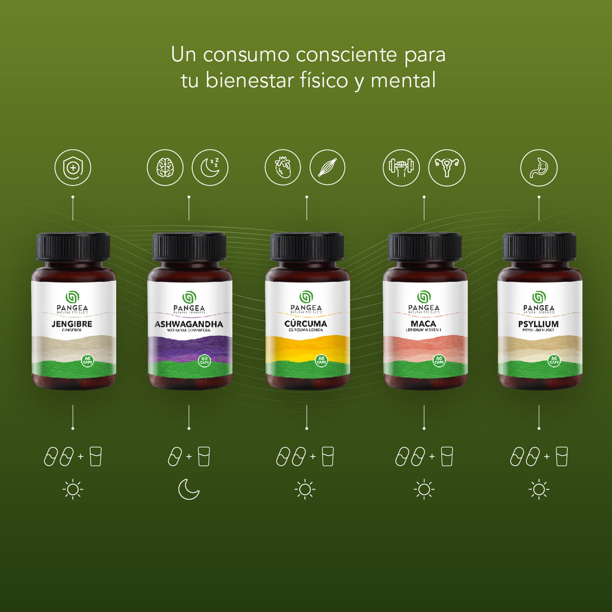 Combo Bienestar Integral | 5 productos para tu equilibrio