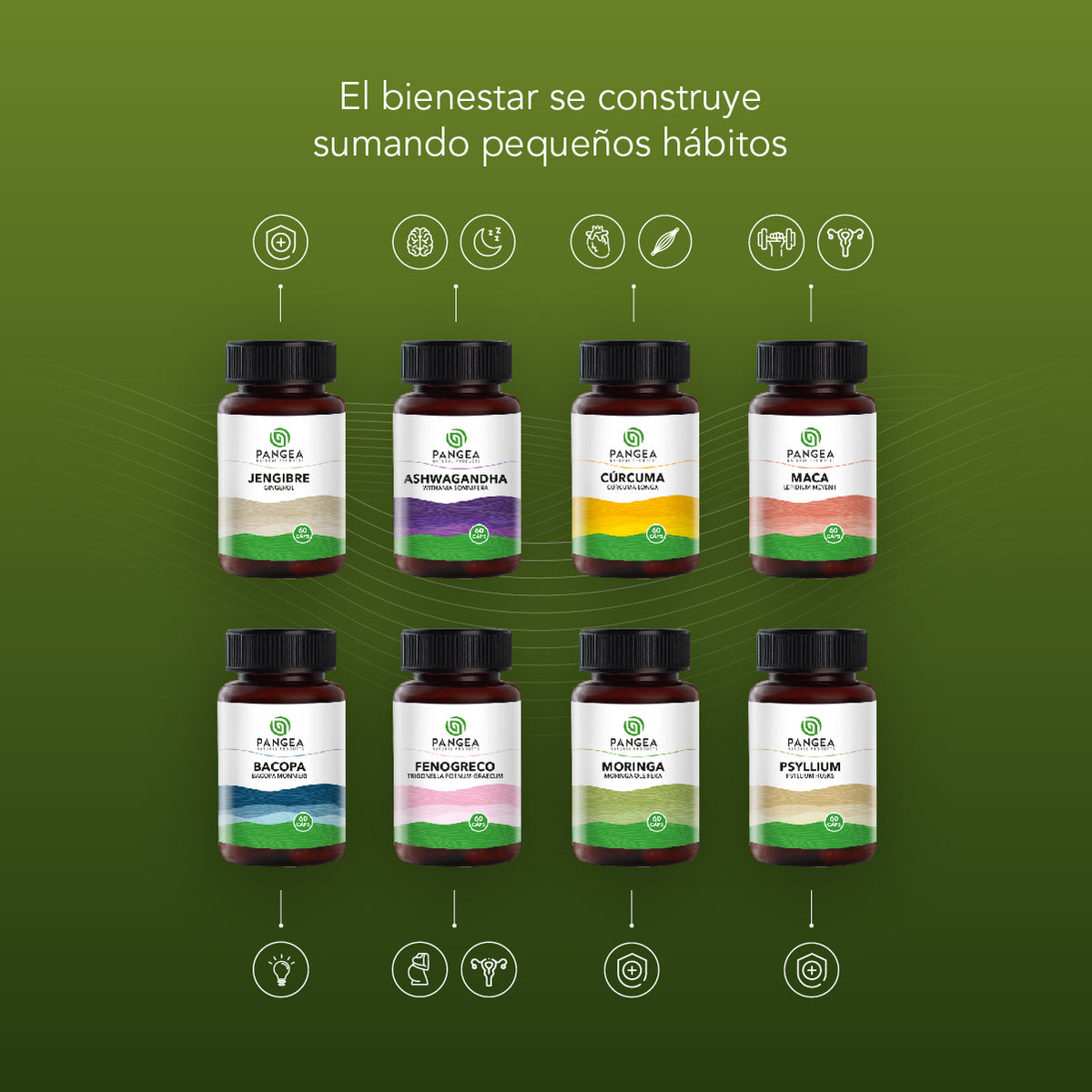Combo Bienestar Total | 8 Productos Naturales