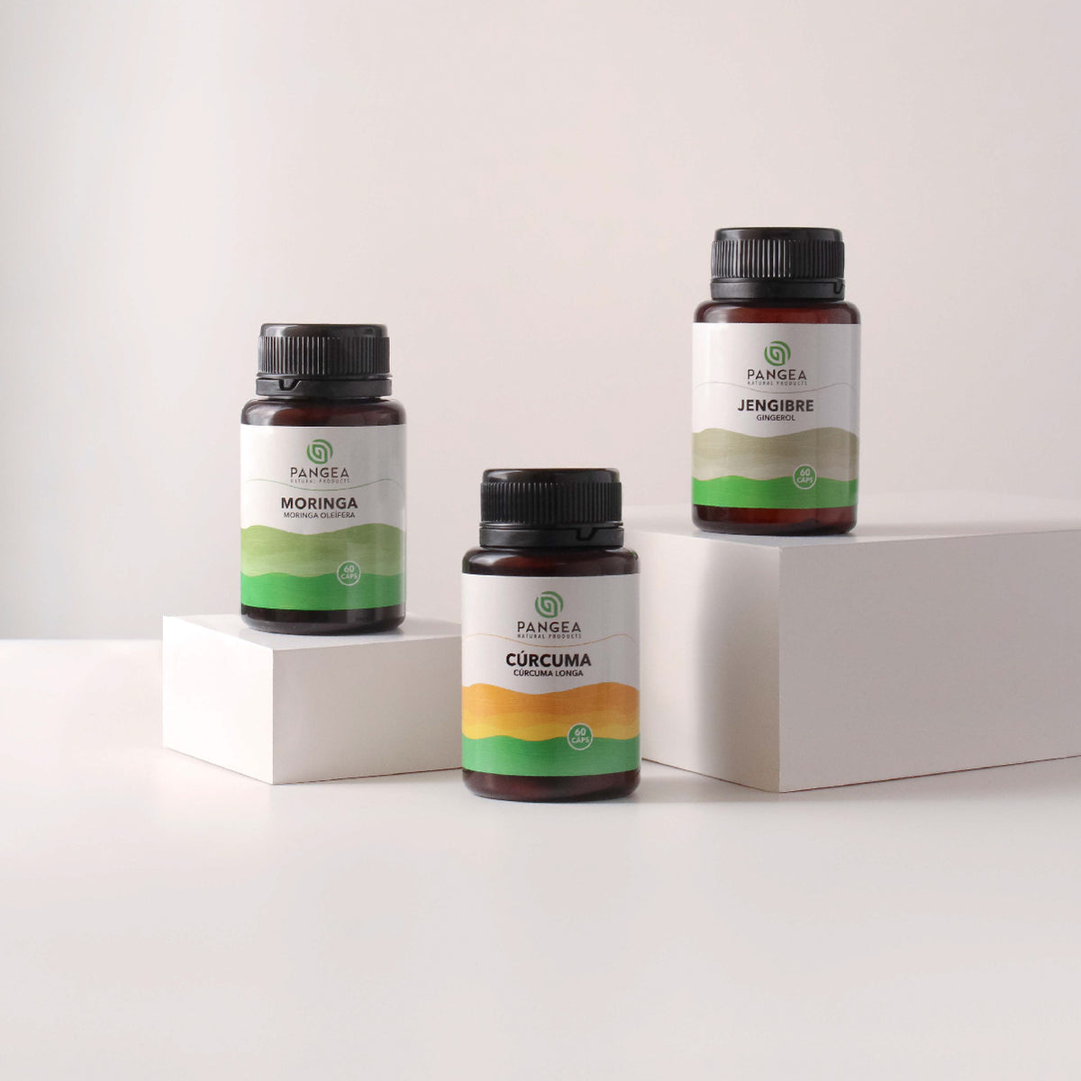 Combo Inmunidad | Cúrcuma, Jengibre y Moringa