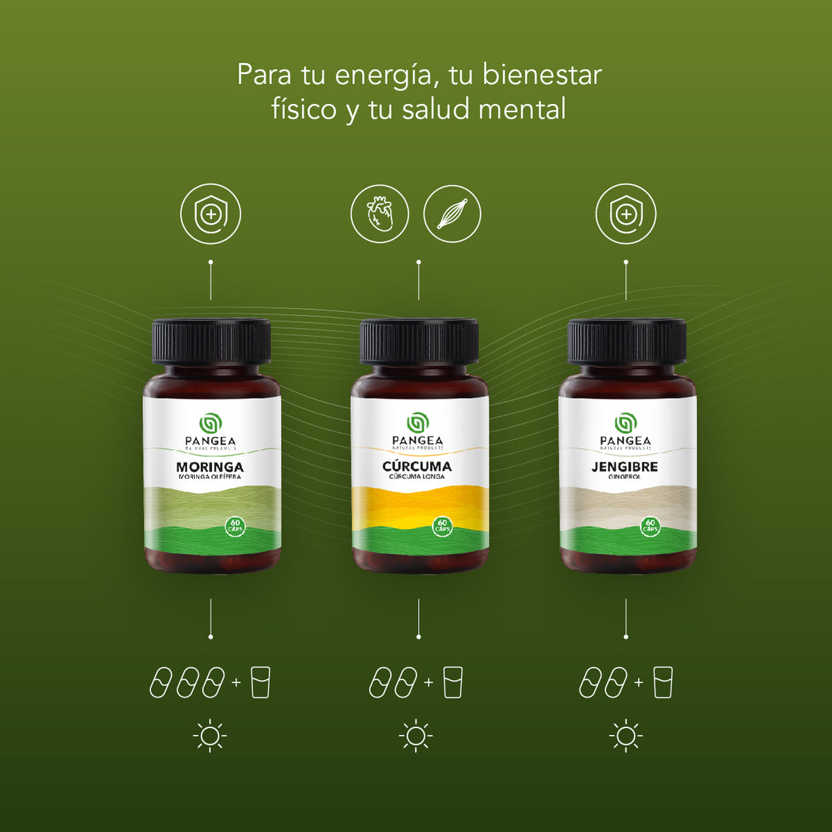Combo Inmunidad | Cúrcuma, Jengibre y Moringa