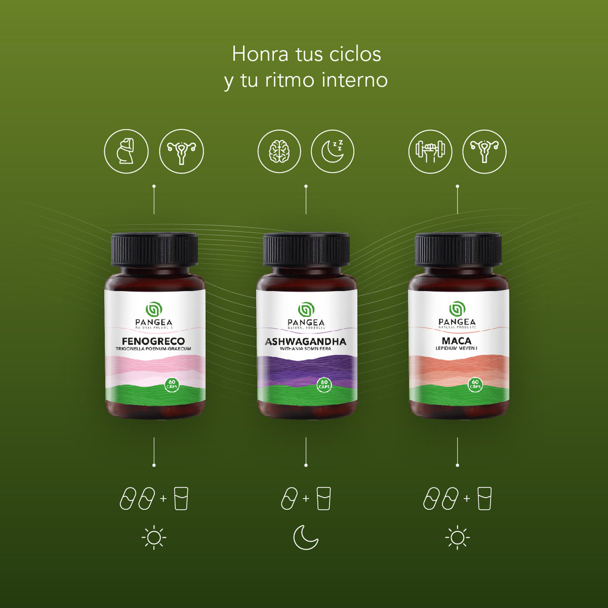 Combo Mujer en Equilibrio | Fenogreco, Ashwagandha y Maca
