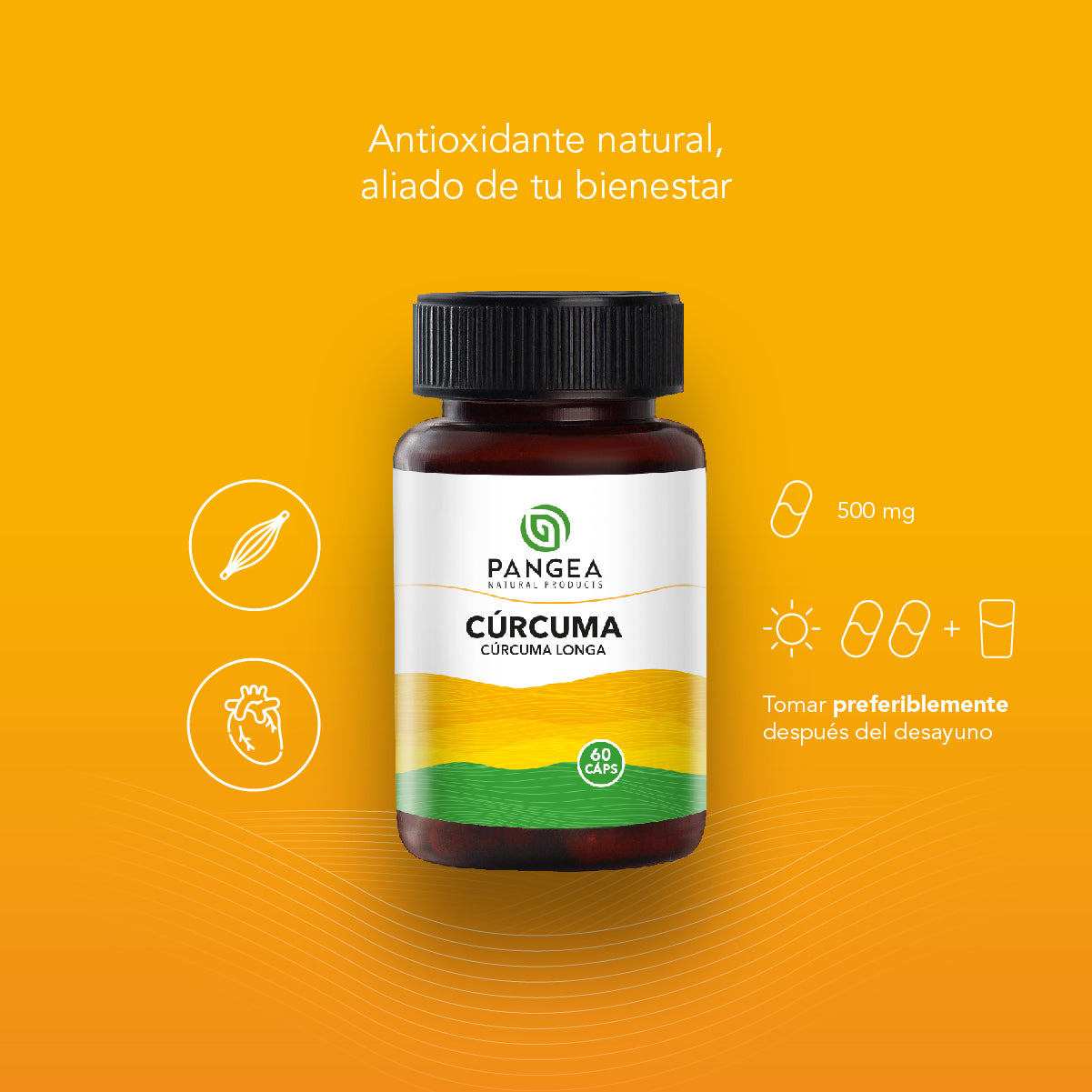Cúrcuma en cápsulas
