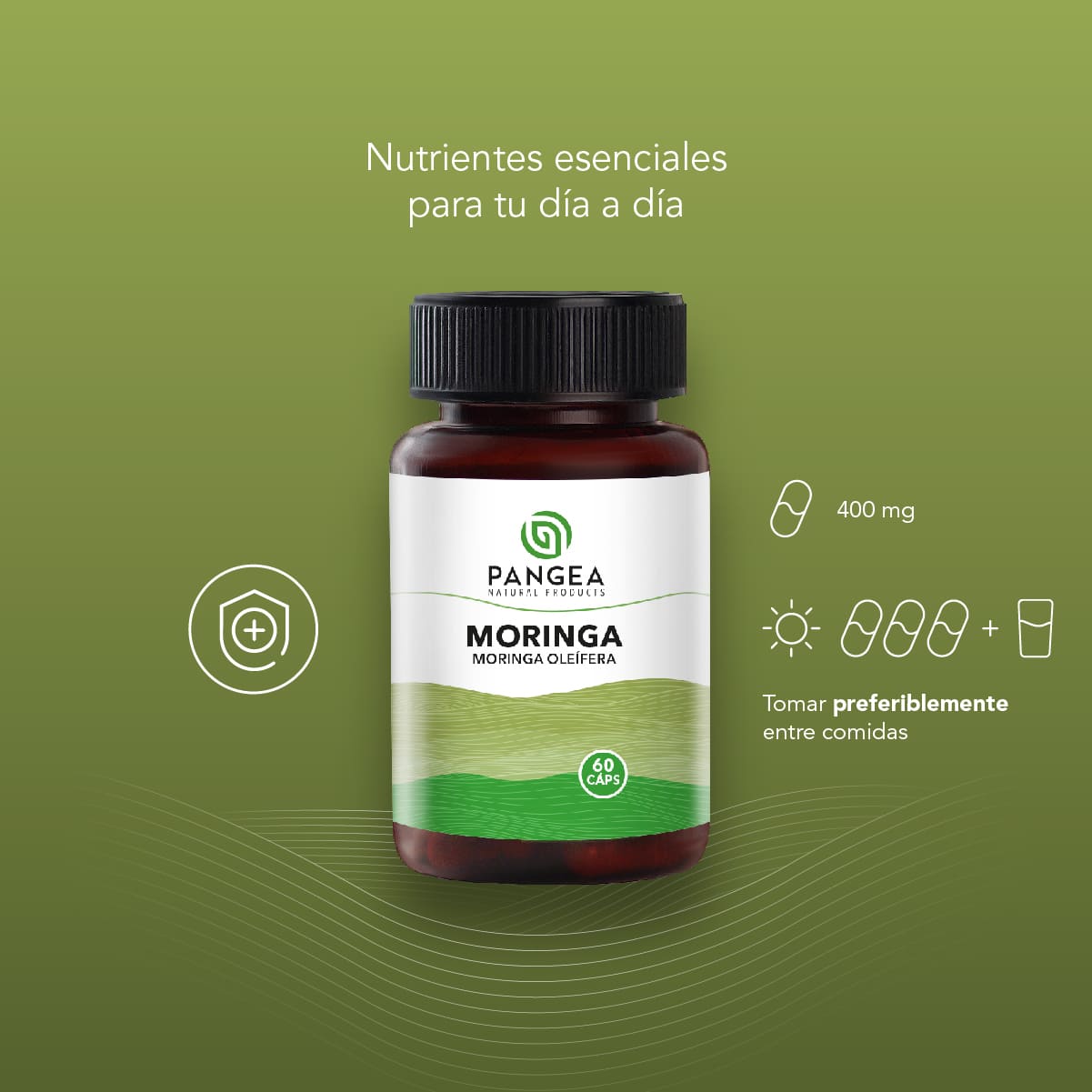 Moringa en Cápsulas