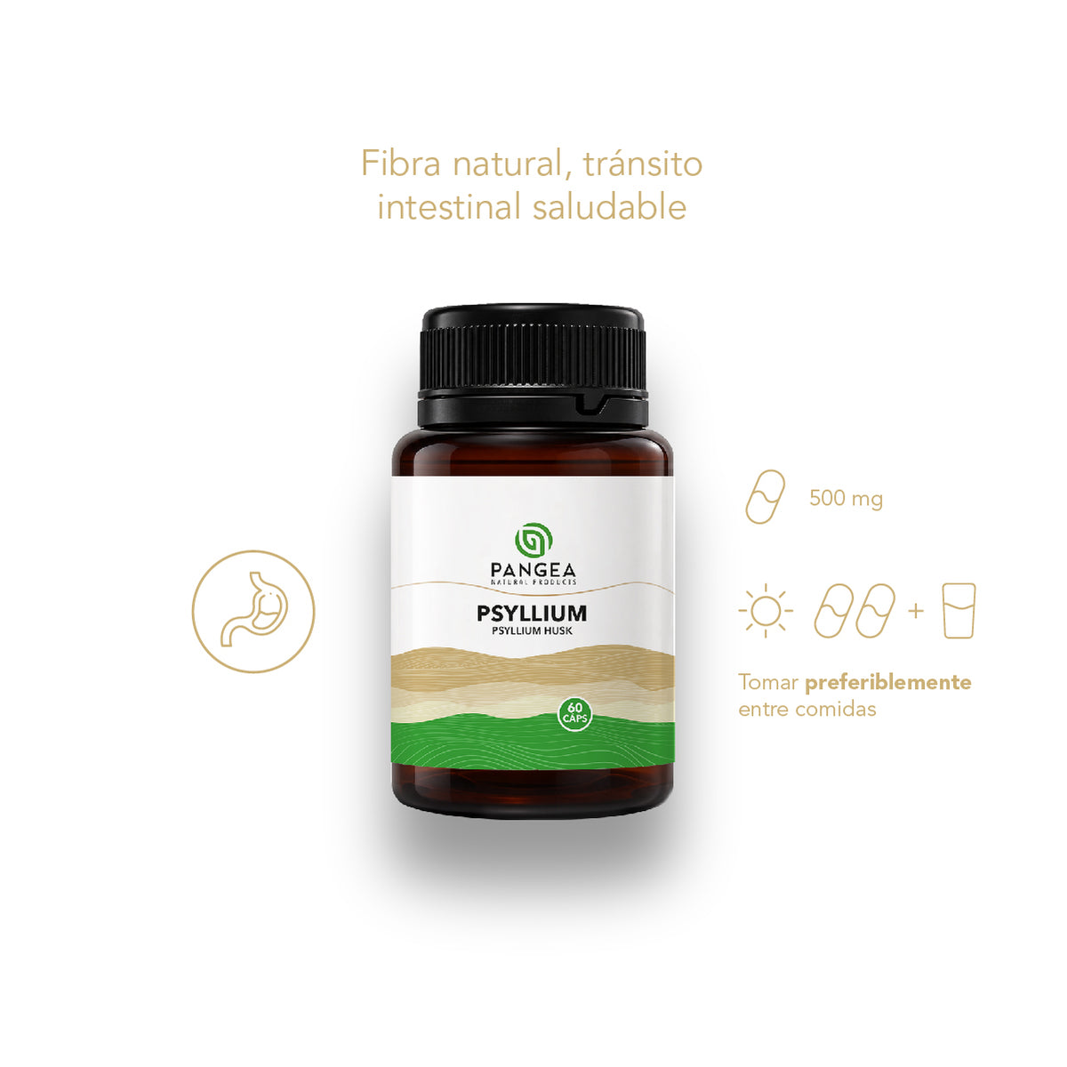 Psyllium en Cápsulas