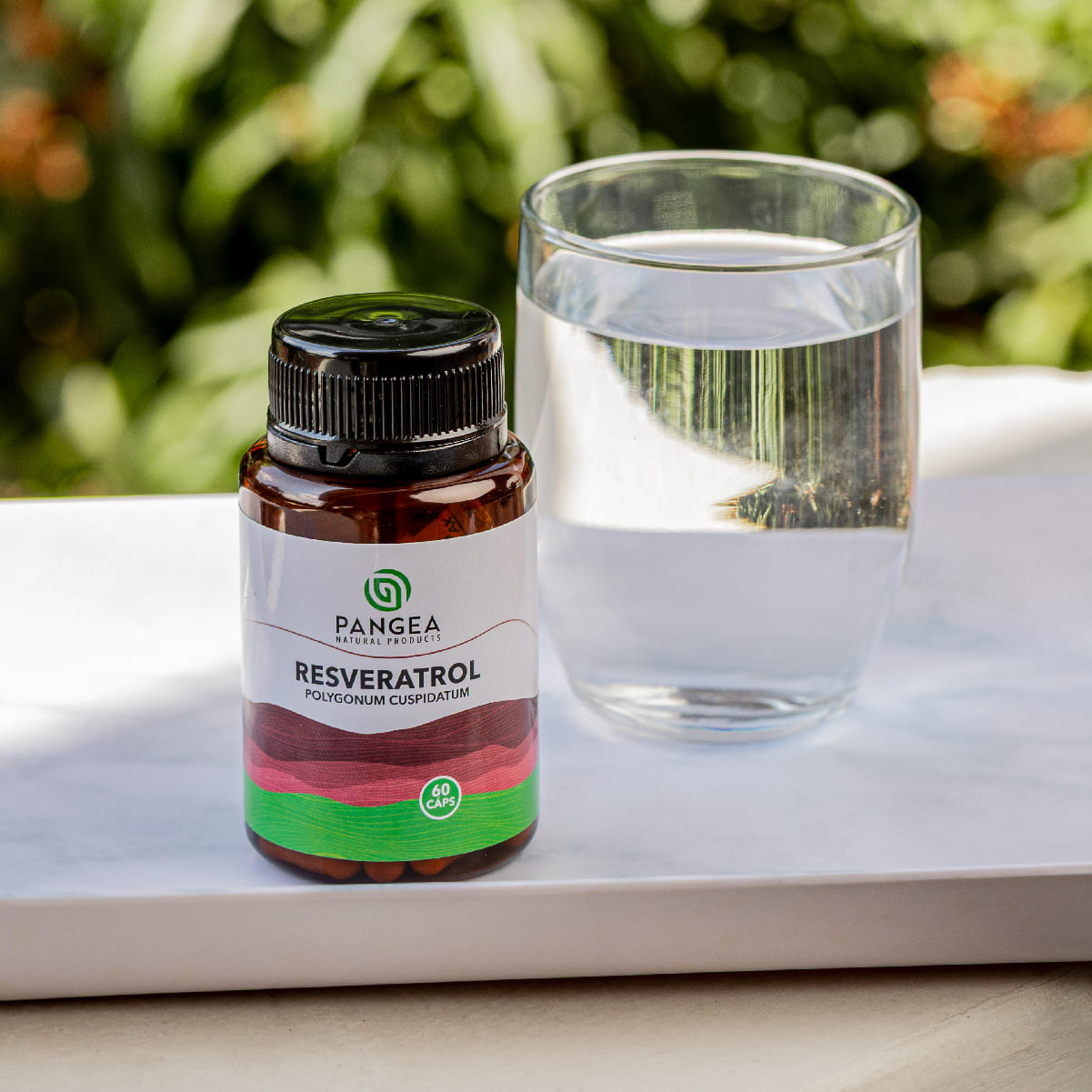 Resveratrol en Cápsulas