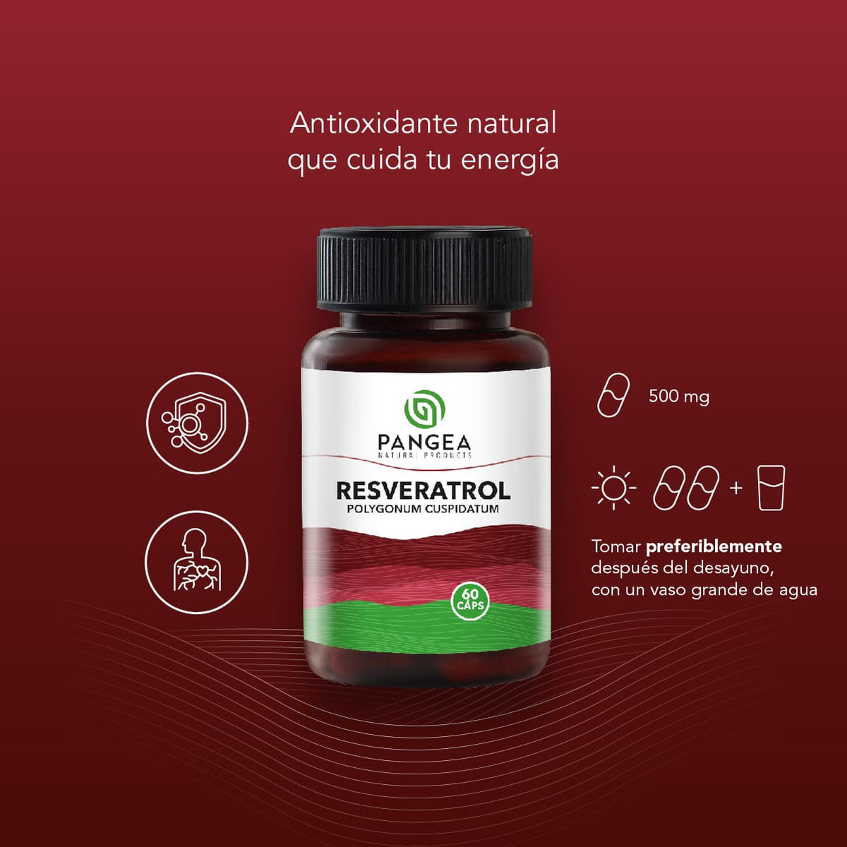 Resveratrol en Cápsulas
