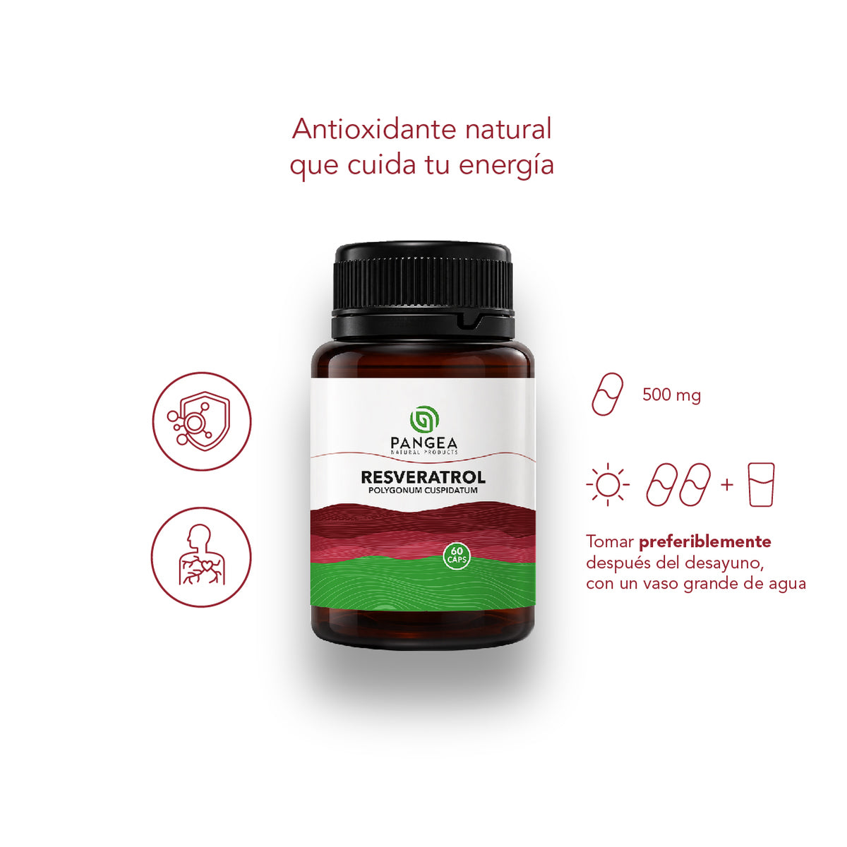 Resveratrol en Cápsulas